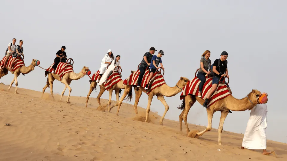 Morgens Wüstensafari Dubai: Dünenbashing, Sand Boarding, Kamelritt - Image 1